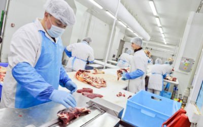 SANDACH subproductos alimentos y animales