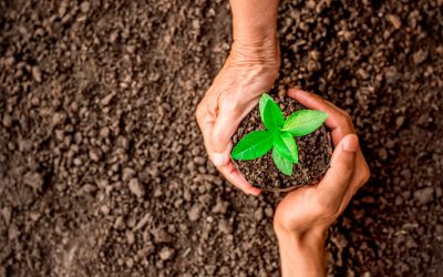 Gestión de residuos y medio ambiente