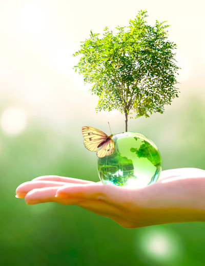 Salvar el Planeta