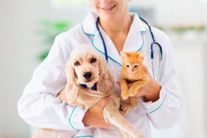 gestión residuos clínica veterinaria