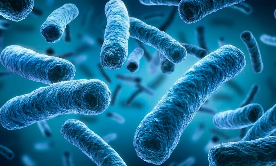 Tratamientos legionella y desinfección