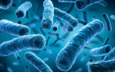 Las infecciones por legionelosis aumentan en Galicia