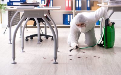 Exterminio de plagas