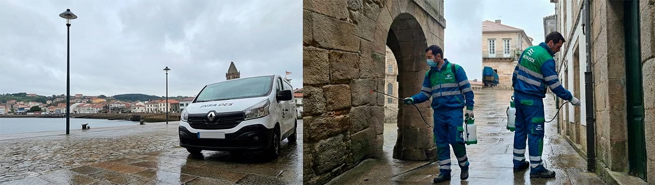 Control de plagas en Narón