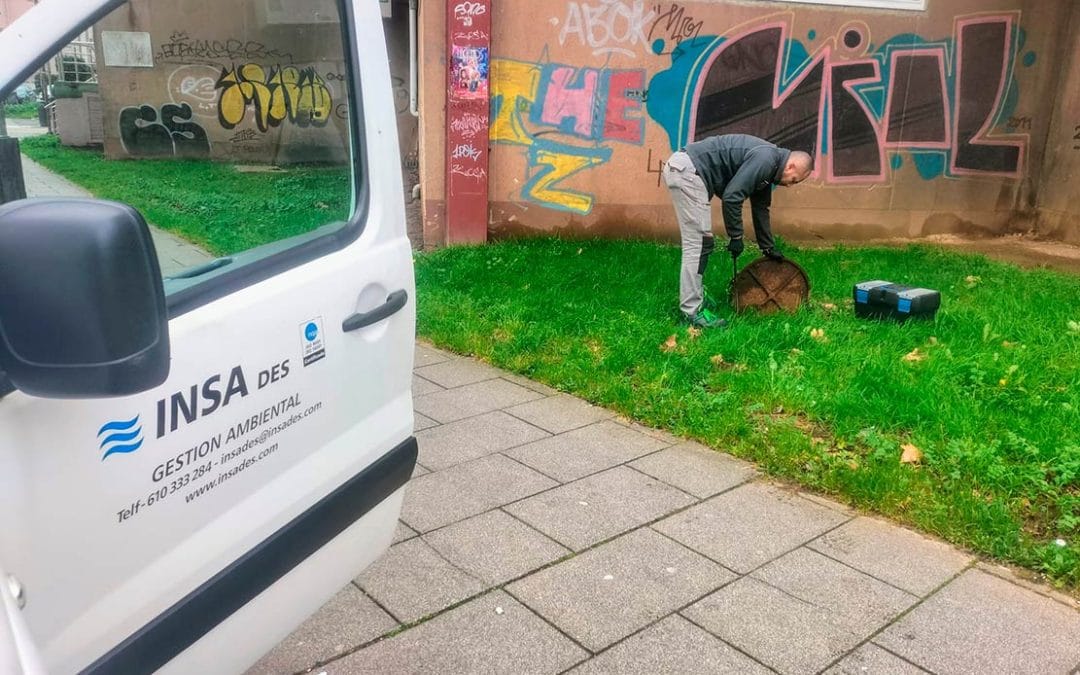 Control de plagas en Coruña