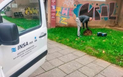 Control de plagas en Coruña