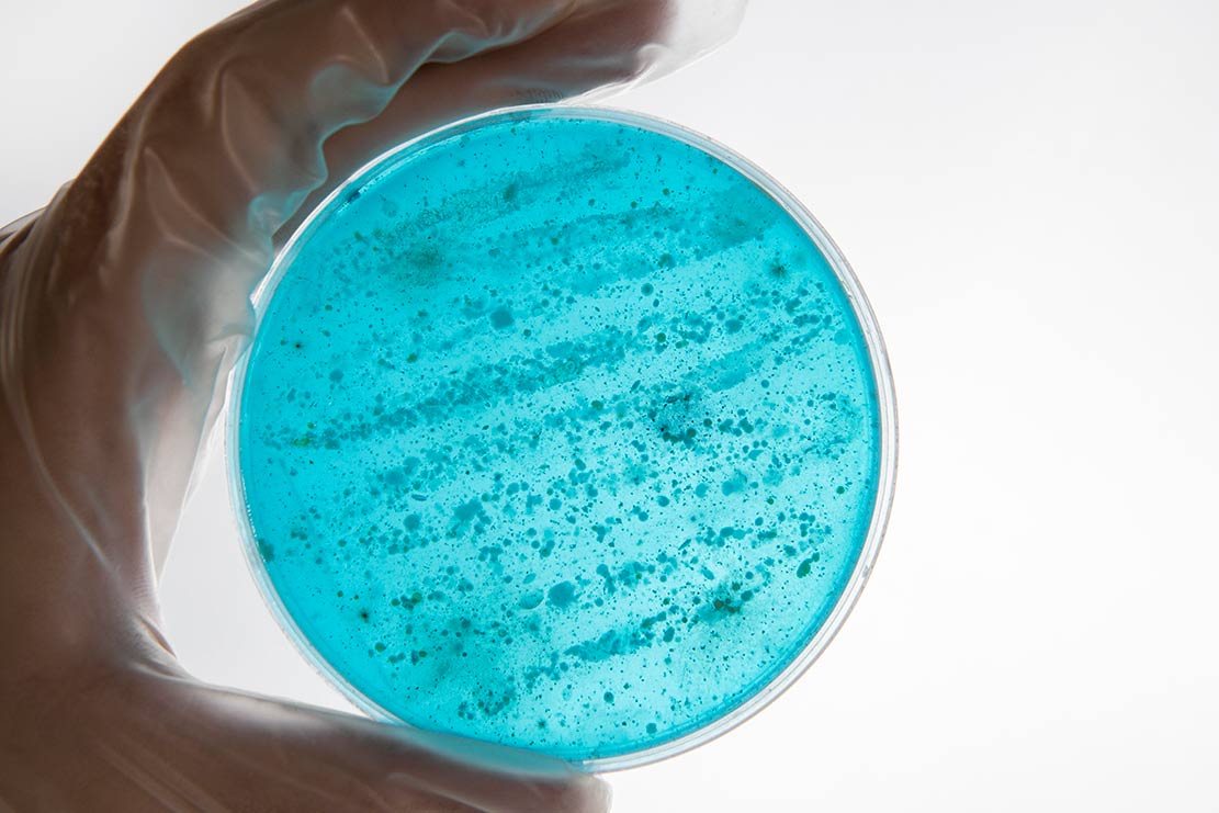 Planes de mantenimiento preventivo: la mejor defensa contra la Legionella
