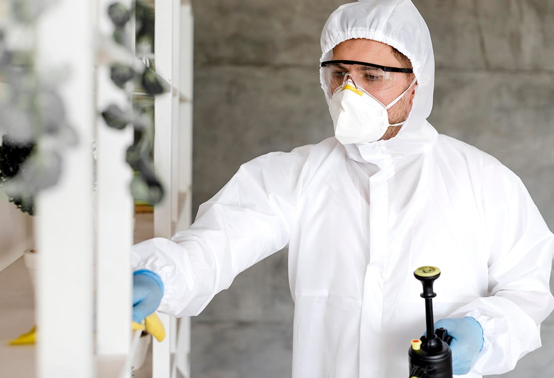 Técnico aplicando tratamiento de control de plagas en Galicia con equipo de desinfección