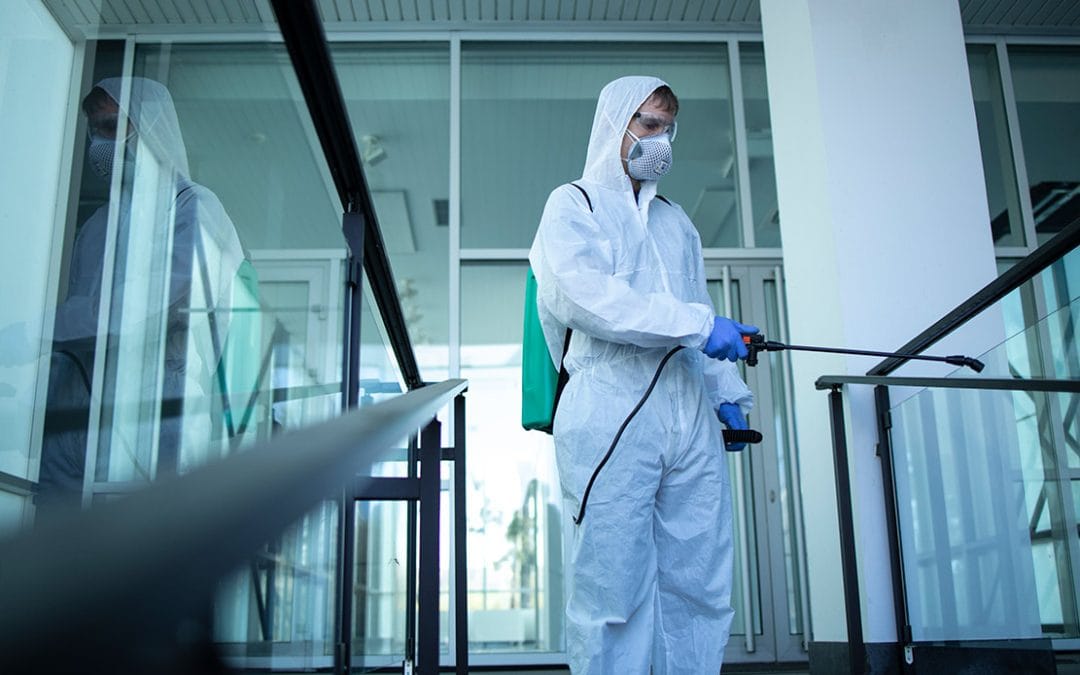 Control de plagas en empresas de Galicia: prevención y soluciones profesionales