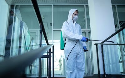 Control de plagas en empresas de Galicia: prevención y soluciones profesionales