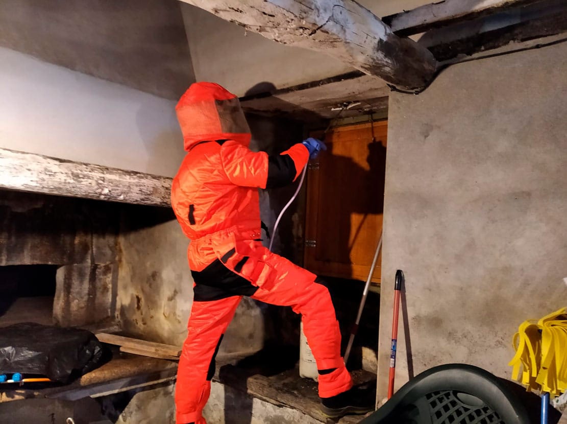 Control de plagas en Galicia