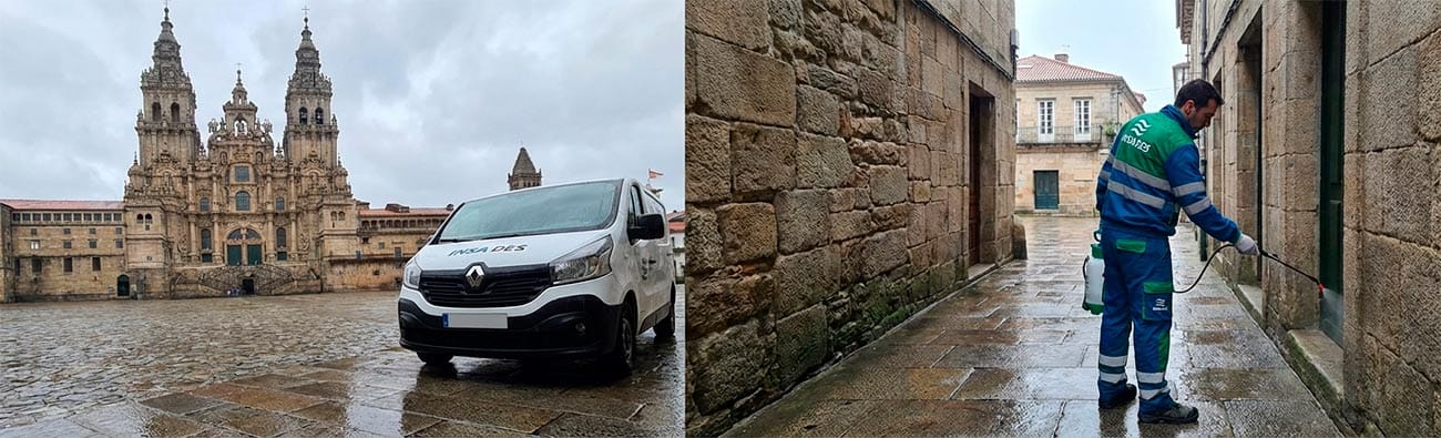 Control de plagas en Santiago de Compostela