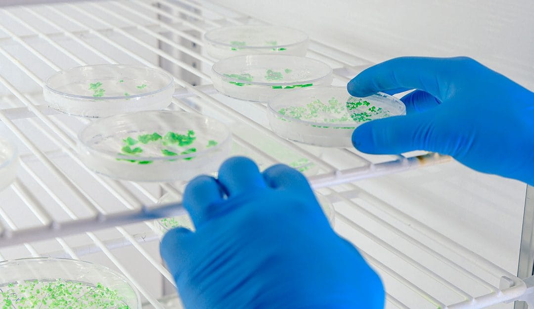 Control y desinfección de Legionella en Vigo