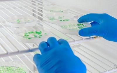 Control y desinfección de Legionella en Vigo