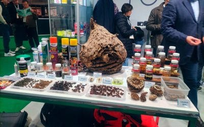 INSA des en Expocida: Innovación en Sanidad Ambiental